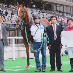 T ＆ Fのプロフィール