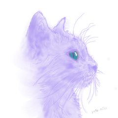 Mのプロフィール