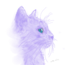Mのプロフィール