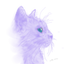 Mのサムネイル