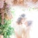 夫が隠していた2,000万円──NISA口座と私の離婚決意