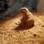 ラララのサムネイル
