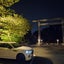 SAのサムネイル