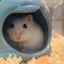 いちごのきもちのサムネイル