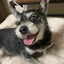 oncediveのサムネイル