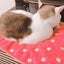 モリヨシさんのサムネイル
