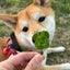 あっちーママのサムネイル