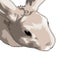 chinagon06のサムネイル