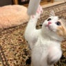 ちーのプロフィール