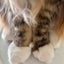 画像 笑顔になりたいのユーザープロフィール画像
