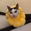 かよしのサムネイル