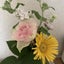 kokohanaのサムネイル