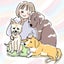 画像 犬と猫と岡山暮らしのユーザープロフィール画像