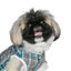 画像 pekingese-maron1228のブログのユーザープロフィール画像