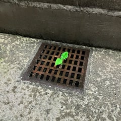 はやとのプロフィール