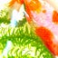 yuka-ymaquaのサムネイル