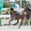フリーランス管理栄養士の一口馬主ライフのサムネイル