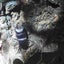 画像 関西クワガタ採集（京都府周辺）のユーザープロフィール画像