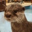 Sakkyのサムネイル