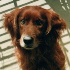 beachanのプロフィール