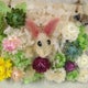 みちるのおすすめのサムネイル