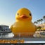 画像 30代おひとりさまの旅行や日常のユーザープロフィール画像