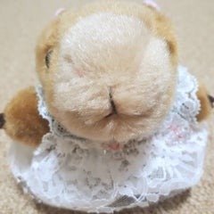 とらとものプロフィール