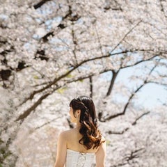 ＿＿のプロフィール