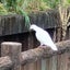 さくたのサムネイル
