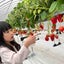 naturallywithallergyのサムネイル