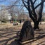 teucheeのサムネイル