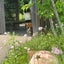 emi_rianのサムネイル