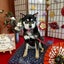 画像 いずりんのブログ　毎日を心豊かに温かい穏やかな気持ちで過ごしたいのユーザープロフィール画像