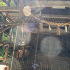 多田  晴美のプロフィール