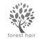 forest　hairのサムネイル
