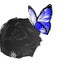 ma_🦋のサムネイル