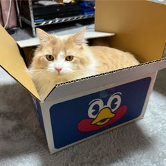 カズピーのプロフィール