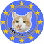 love-happy-catのサムネイル