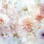 みーままのサムネイル