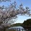 あきのサムネイル
