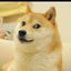 ごんちのサムネイル
