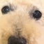 画像 のんびりしたい彩香のブログのユーザープロフィール画像