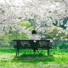みりのプロフィール