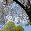 Takae♡のサムネイル
