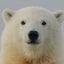 fp_furuponのサムネイル