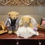 画像 lovena29のブログのユーザープロフィール画像