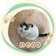 ねこ　なおみのサムネイル