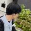 セイラインのサムネイル