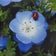 あの花は何処に　イートレ日和