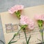 rosemary3958のサムネイル